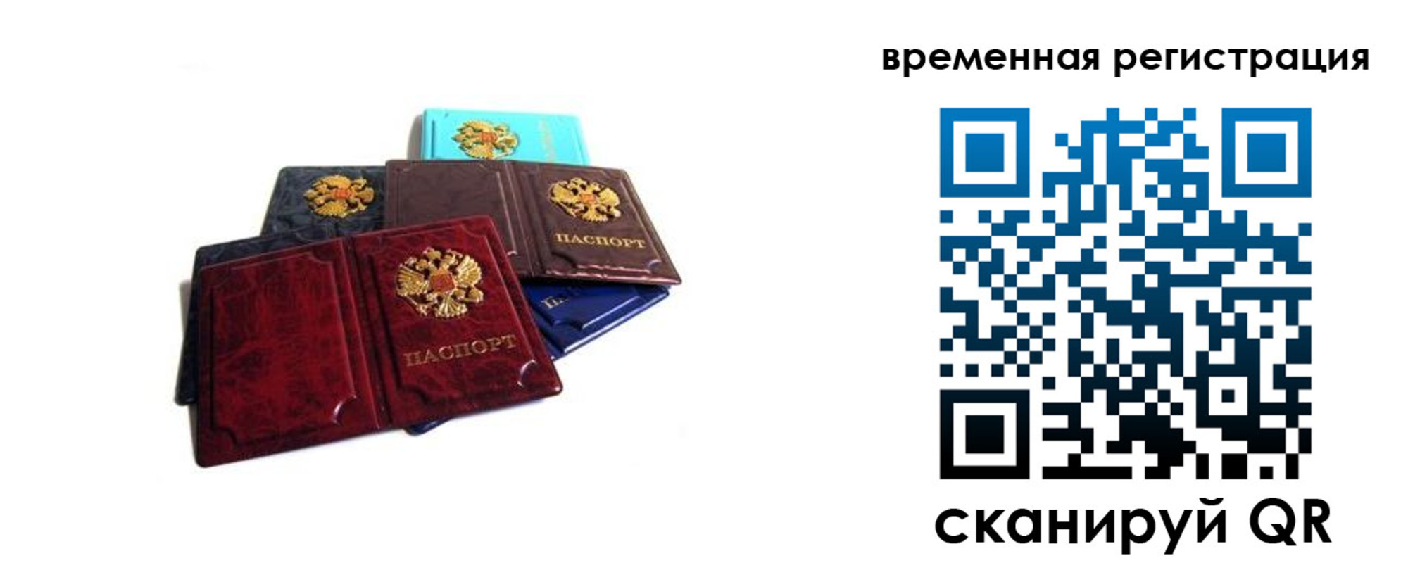 прописка гарантия в Давлеканово